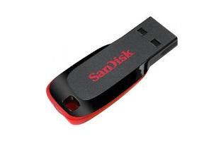 sandisk pd